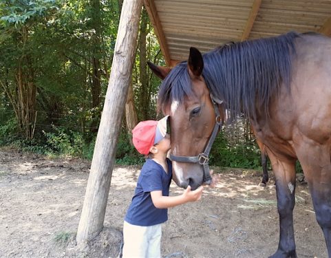 pouliniere elevage eurvad