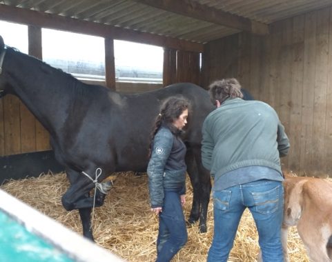 naissance de Kyoto d'un Soir