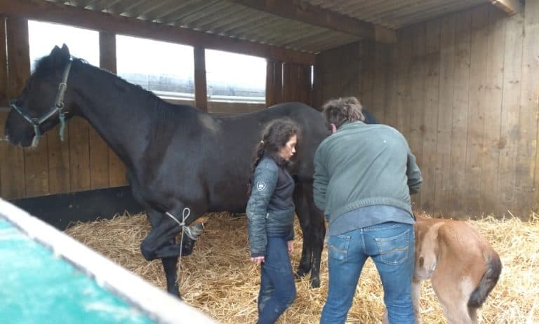 naissance de Kyoto d'un Soir
