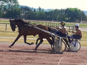 sortie sur l'hippodrome pour un petit entrainement élevage chevaux hippodrome