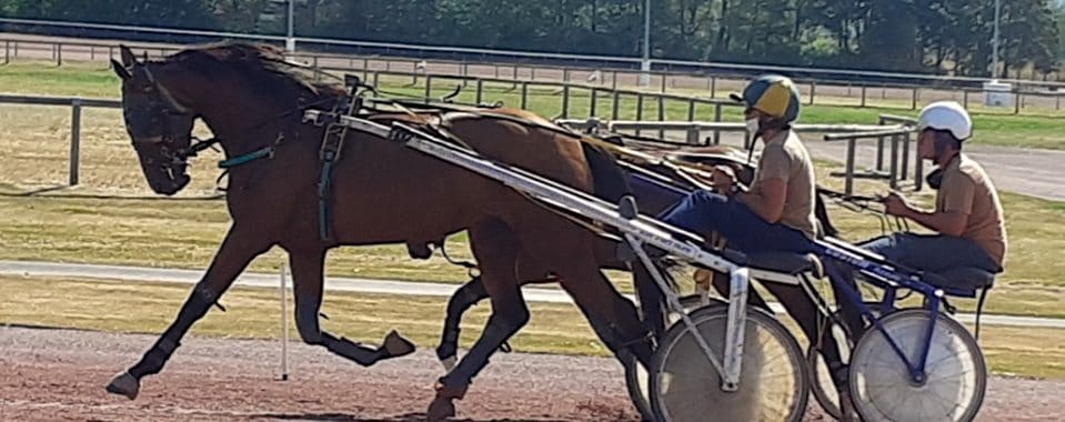 sortie sur l'hippodrome pour un petit entrainement élevage chevaux hippodrome