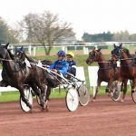 élevage eurvad entrainement trotteur