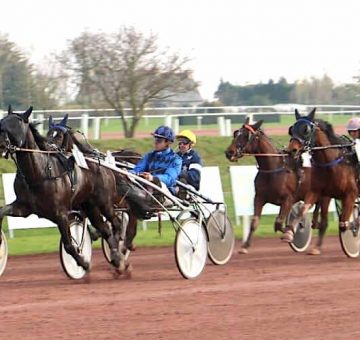 En direct de l'hippodrome élevage eurvad entrainement trotteur