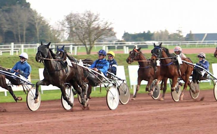 élevage eurvad entrainement trotteur