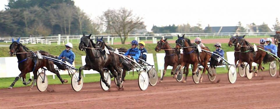 élevage eurvad entrainement trotteur